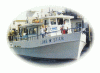 Starfishboats.com in Sea Isle City, Cape May County, United States | Boat Charters