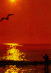 Sea Isle Inn in Sea Isle City, Cape May County, United States | Lodge